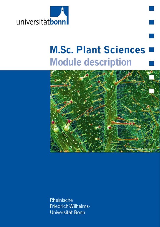 Module Handbook