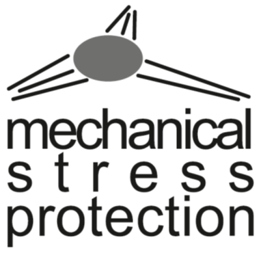 FOR 2743 - Mechanical Stress Protection