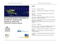 Flyer.pdf
