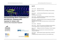 Flyer.pdf