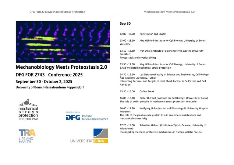 Flyer.pdf