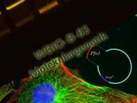 WBIO-B-03