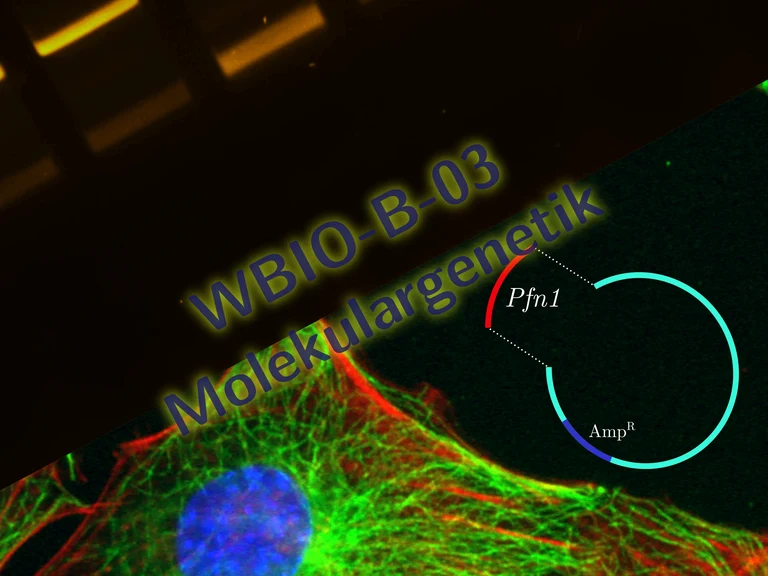 WBIO-B-03