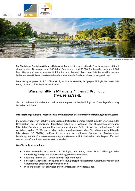 Ausschreibung Gruß