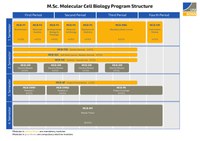 MolCellBiol_ProgramStructure